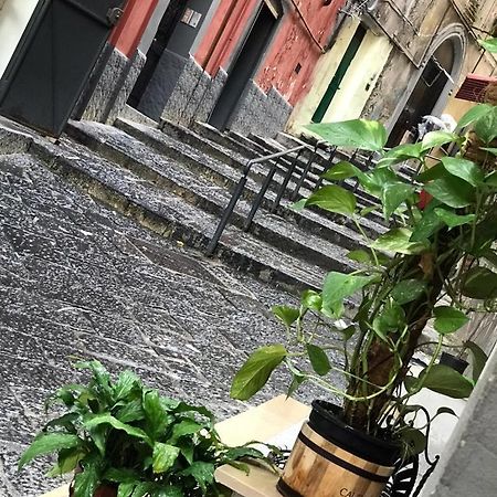 Casa Mari' Centro Storico Vicino Hotel Caracciolo Napoli Ngoại thất bức ảnh