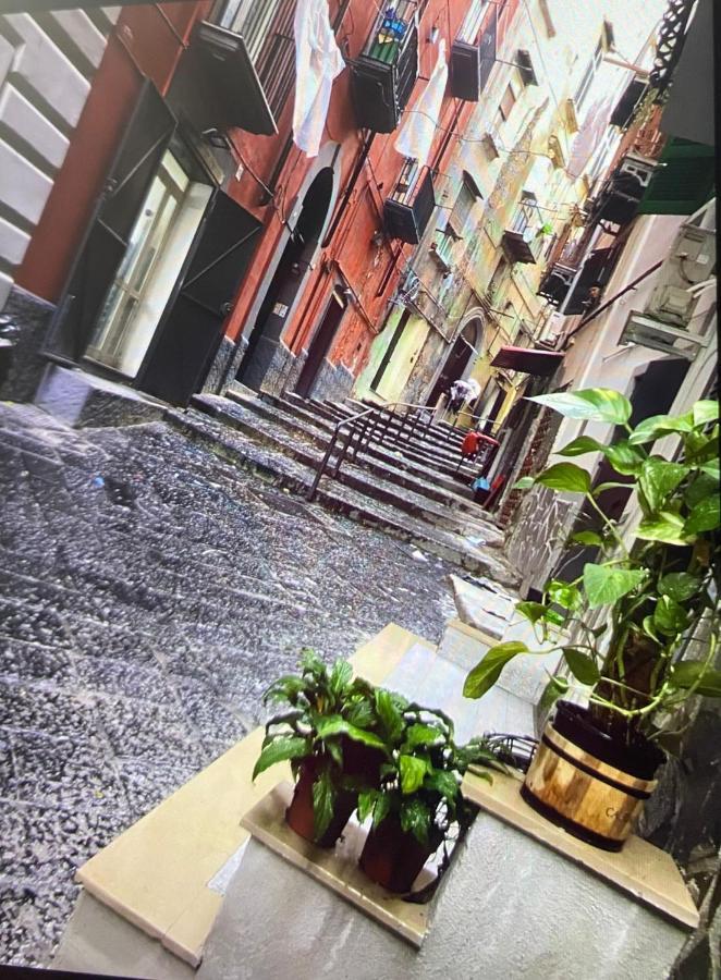 Casa Mari' Centro Storico Vicino Hotel Caracciolo Napoli Ngoại thất bức ảnh