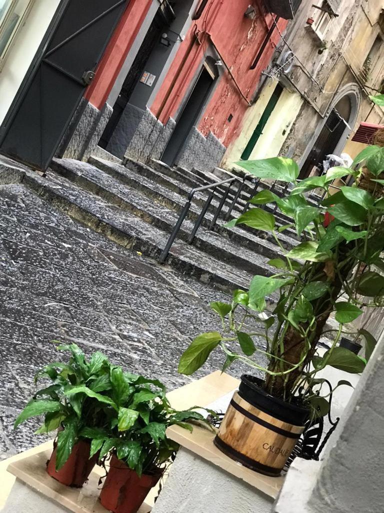 Casa Mari' Centro Storico Vicino Hotel Caracciolo Napoli Ngoại thất bức ảnh